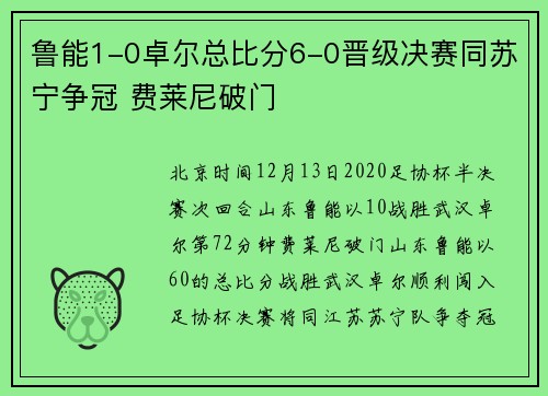 鲁能1-0卓尔总比分6-0晋级决赛同苏宁争冠 费莱尼破门